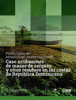 Producción de estadísticas experimentales Caso arribazones de masas de sargazo y otros residuos en las costas de República Dominicana