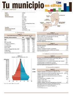Boletín Tu Municipio en Cifras Valdesia Azua 2016