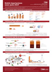 Boletín de importaciones enero-junio 2024
