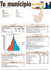 Boletín Tu Municipio en Cifras Valdesia Azua Pueblo Viejo 2016