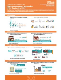 Boletín de Estadísticas Macroeconómicas y Sectoriales julio - septiembre 2025