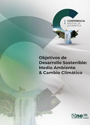 Relatoria 1ra Conferencia Nacional de Estadística 2017