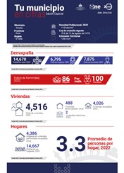 TU MUNICIPIO EN CIFRAS Peralta