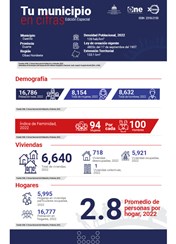 TU MUNICIPIO EN CIFRAS Castillo