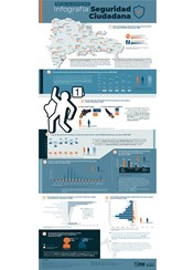 Infografía Seguridad Ciudadana