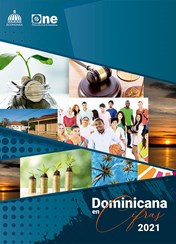 Dominicana en Cifras 2021