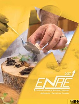 Informe Encuesta Nacional de Actividad Económica Sector Alojamiento y Comidas 2017