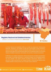 Boletín Preliminar Registro Nacional de Establecimientos El Seibo 2014-2015