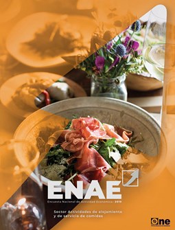 Encuesta Nacional de Actividad Económica 2019. Actividades de alojamiento y de servicio de comidas.