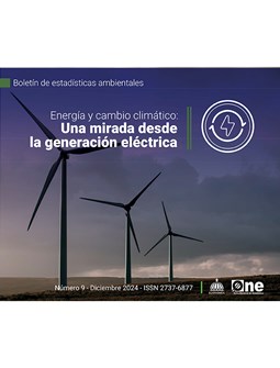 Boletín de estadísticas ambientales No. 9, 2024 - Energía y cambio climático: Una mirada desde la generación eléctrica