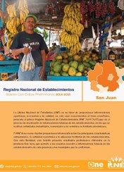 Boletín Preliminar Registro Nacional de Establecimientos San Juan 2014-2015