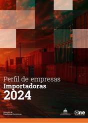 Perfil de las empresas importadoras 2024