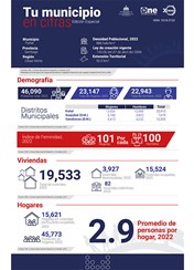 TU MUNICIPIO EN CIFRAS Puñal