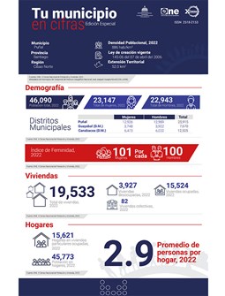 TU MUNICIPIO EN CIFRAS Puñal