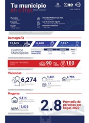 TU MUNICIPIO EN CIFRAS Los Hidalgos