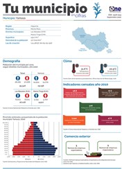 Tu Municipio en Cifras Yamasá 2020