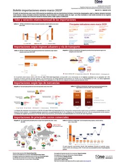 Boletín importaciones enero-marzo 2025p