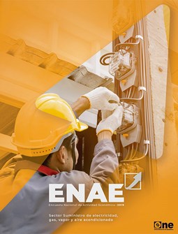 Encuesta Nacional de Actividad Económica 2019 Suministro de electricidad, gas, vapor y aire acondicionado