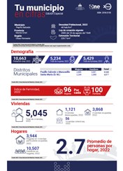 TU MUNICIPIO EN CIFRAS Pepillo Salcedo