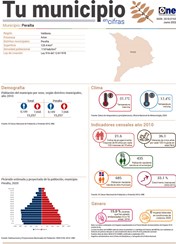 Tu municipio en cifras -Peralta