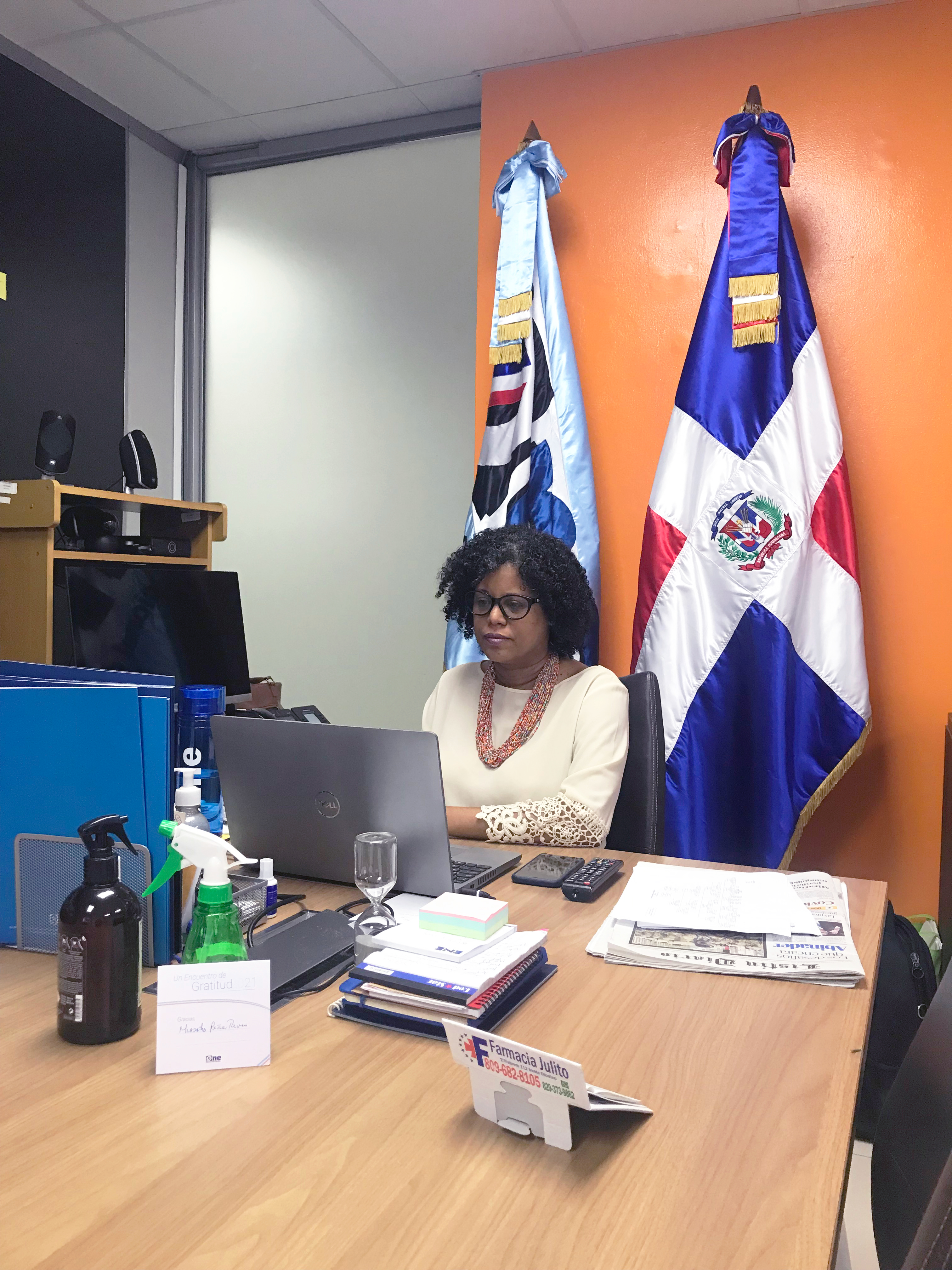 ONE inicia Mesas Sectoriales de Coordinación de la Cooperación Internacional para la Gestión de Datos