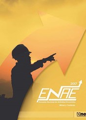 Informe Encuesta Nacional de Actividad Económica Sector Minas y Canteras 2017