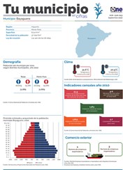 Tu municipio en Cifras Bayaguana 2020