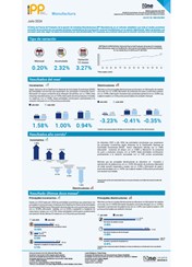 Índice de Precios del Productor, de la sección de Industrias Manufactureras (IPP Manufactura) - Julio 2024