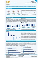 Índice de Precios del Productor, de la sección de Industrias Manufactureras (IPP Manufactura) - Junio 2025