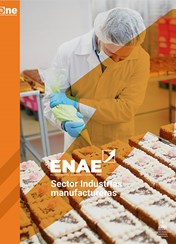 Encuesta Nacional de Actividad Económica, ENAE 2021: Sector Industrias manufactureras.