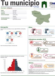 Tu municipio en cifras - Vallejuelo