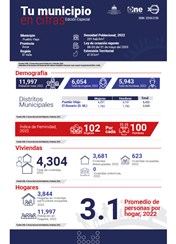 TU MUNICIPIO EN CIFRAS Pueblo Viejo