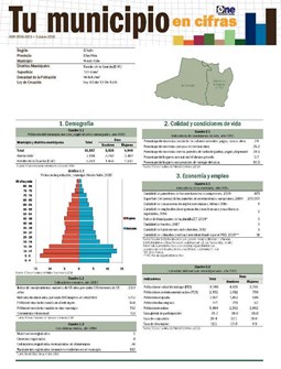 Boletín Tu Municipio en Cifras El Valle-Elías Piña- Hondo Valle 2018
