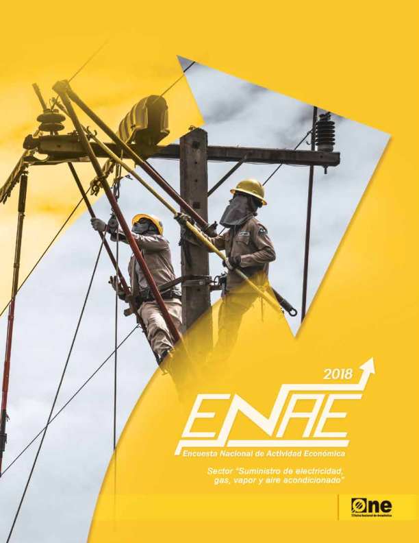 Informe Encuesta Nacional de Actividad Económica Sector Suministro Electricidad Gas Vapor Aire Acondicionado 2018