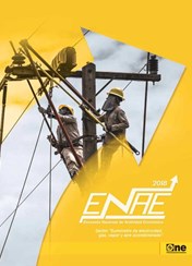 Informe Encuesta Nacional de Actividad Económica Sector Suministro Electricidad Gas Vapor Aire Acondicionado 2018