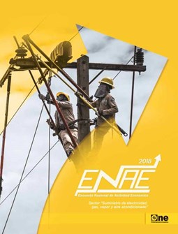 Informe Encuesta Nacional de Actividad Económica Sector Suministro Electricidad Gas Vapor Aire Acondicionado 2018