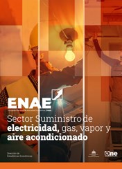 Encuesta Nacional de Actividad Económica, ENAE 2025