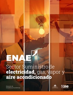 Encuesta Nacional de Actividad Económica, ENAE 2025