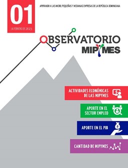 Boletín Observatorio Micro Pequeñas y Medianas Empresas 1 Actividad Aportes y Cantidad Febrero 2015
