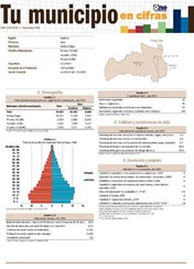 Boletín Tu Municipio en Cifras Valdesia Azua Sabana Yegua 2016