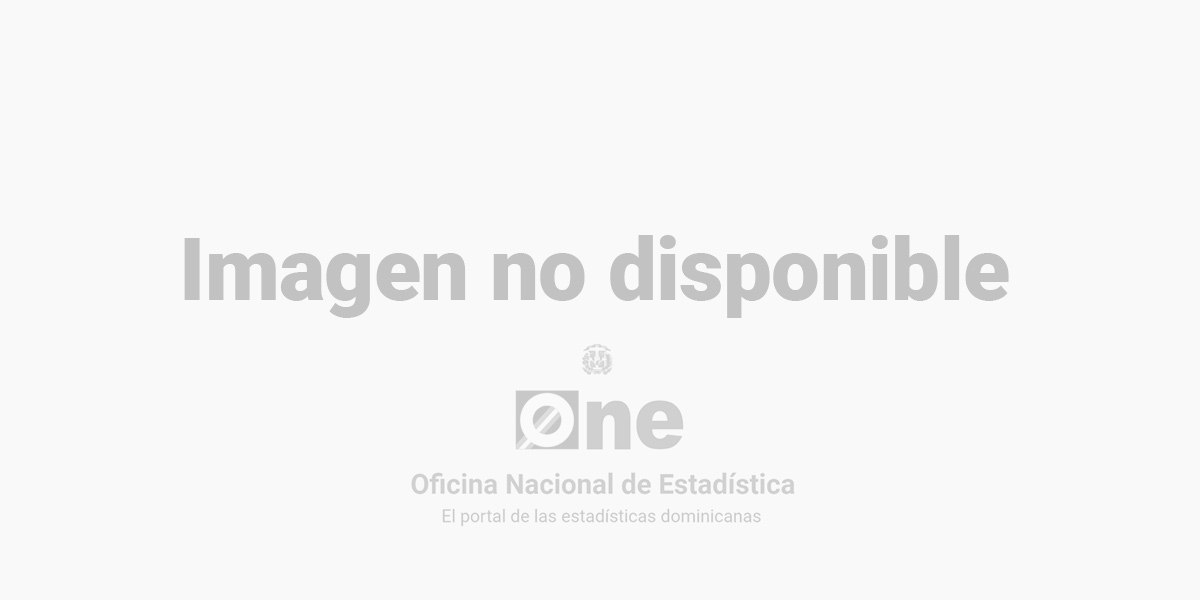 ONE realiza XXVIII Encuentro Interinstitucional sobre el Sistema Estadístico Nacional (1)