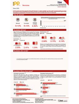 Índice de Precios del Productor del sector Servicios (IPP Servicios) - Enero 2025