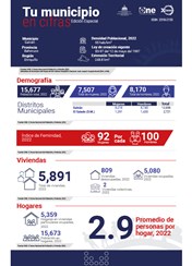 TU MUNICIPIO EN CIFRAS Galván