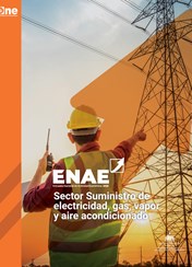 ENAE 2023 - Suministro de electricidad, gas, vapor y aire acondicionado