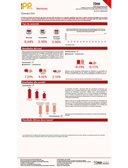 Índice de Precios del Productor del sector Servicios (IPP Servicios) - Diciembre 2024
