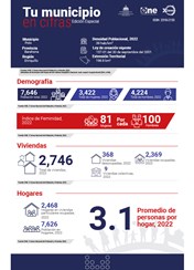 TU MUNICIPIO EN CIFRAS Polo