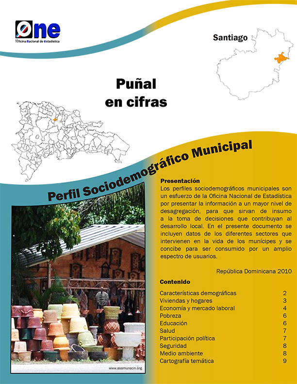 Perfil Sociodemográfico Municipal Puñal 2011
