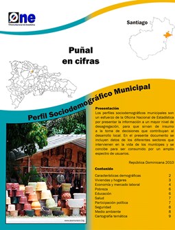 Perfil Sociodemográfico Municipal Puñal 2011