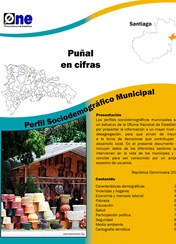 Perfil Sociodemográfico Municipal Puñal 2011