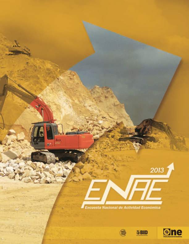 Encuesta Nacional de Actividad Económica 2013